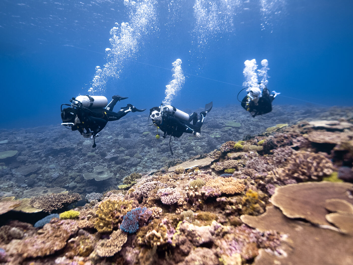 慶良間水肺旅遊潛水
