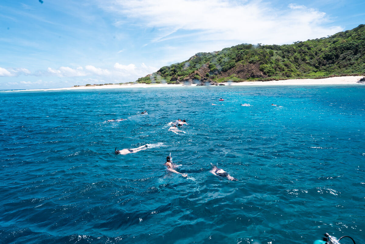 浮潛團隊悠游慶良間海面